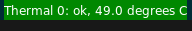 Raw output on widget